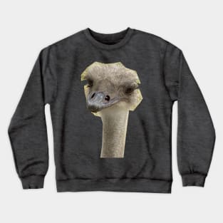 Ohio Ostrich Crewneck Sweatshirt